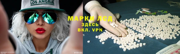 стафф Магадан