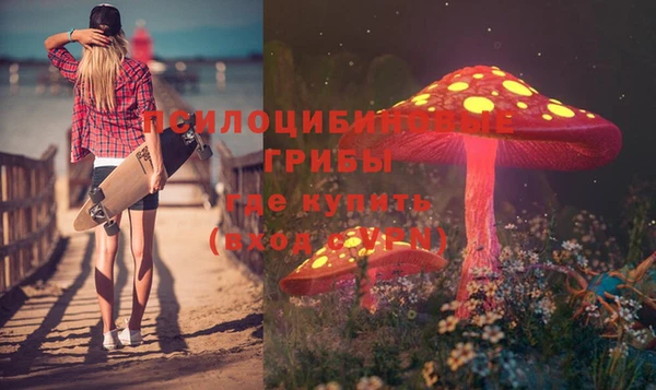 шишки Лихославль