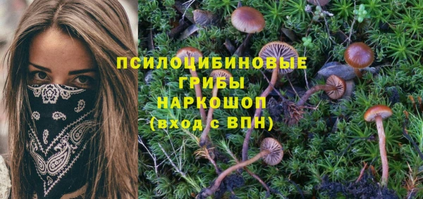 шишки Лихославль