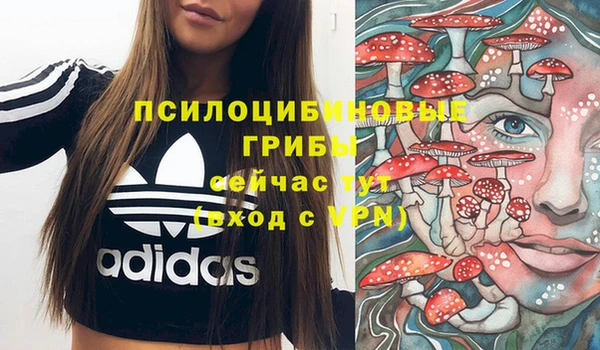стафф Магадан