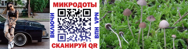 Галлюциногенные грибы GOLDEN TEACHER  Купить  Звенигород 